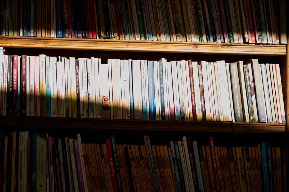 Estante com muitas lombadas de livros de cores e formatos variados.
