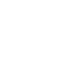 Pormenor