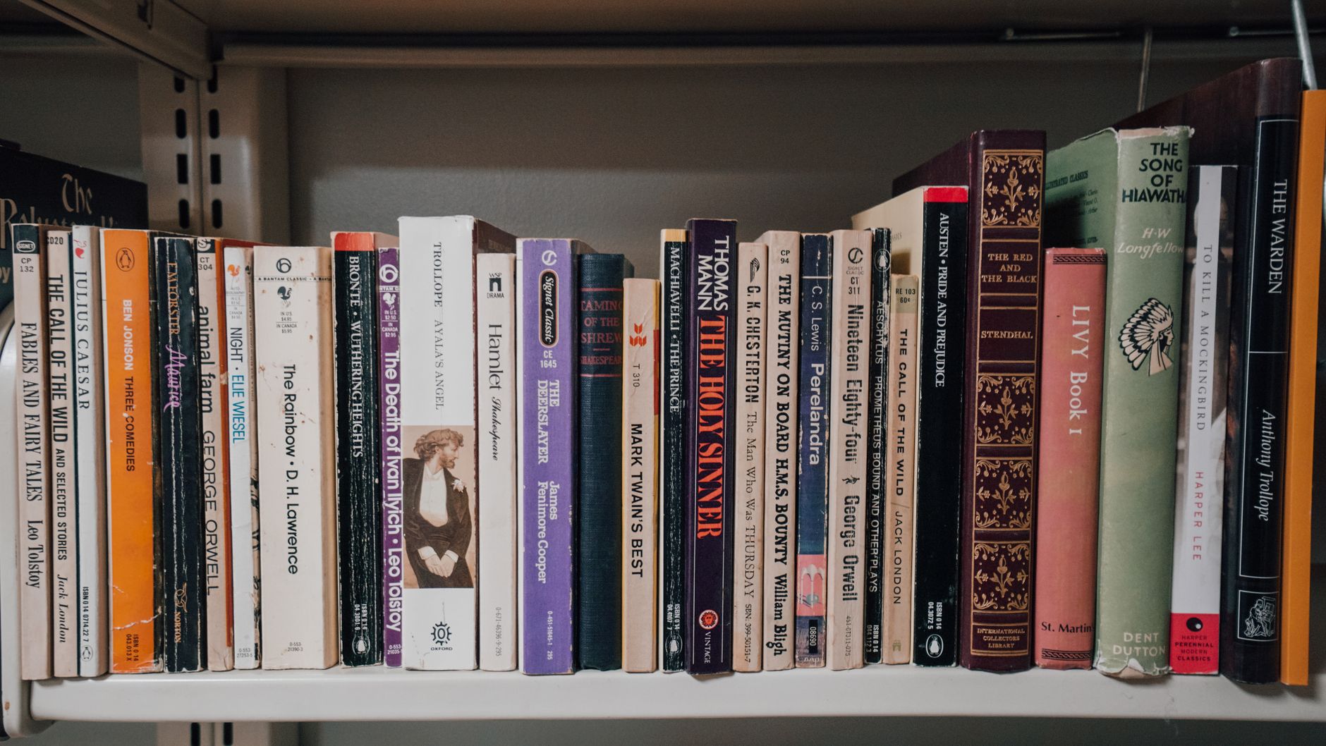 Estante com livros de capa dura e de brochura de tamanhos diferentes