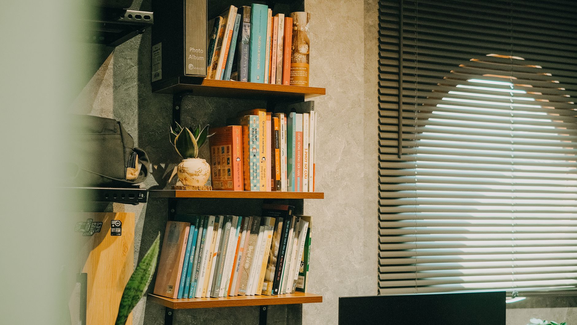 Prateleiras de parede com livros de lombadas variadas, ao lado de uma janela com persiana por onde entra luz.