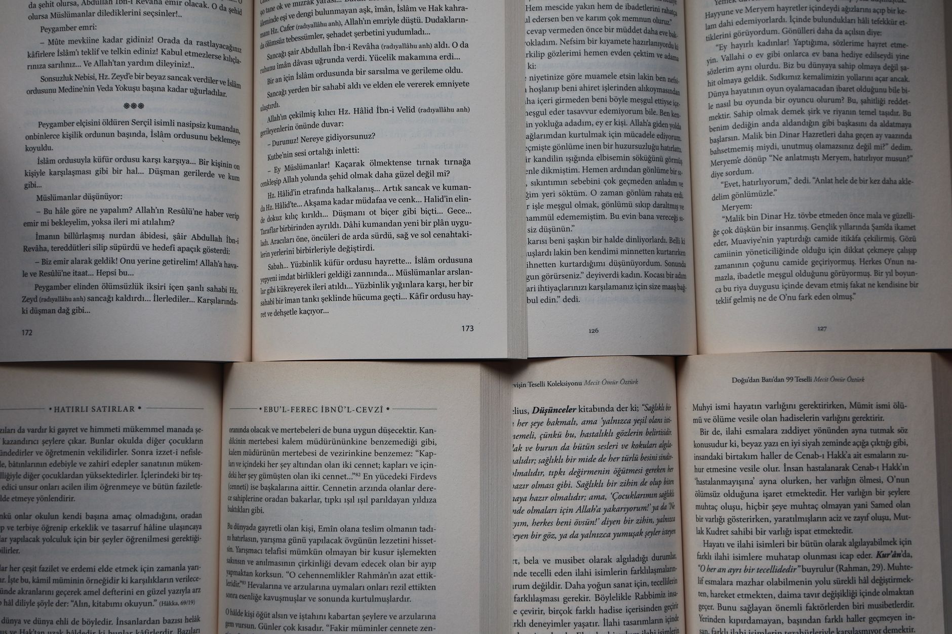 Folhas de manuscrito espalhadas em fileiras sobre uma mesa, vistas de cima