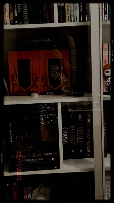 Quantos livros eu tenho no penúltimo dia de 2023? Bela discrepancia entre lidos e comprados… #livrosnovosnaminhaestante #tourdaestante…