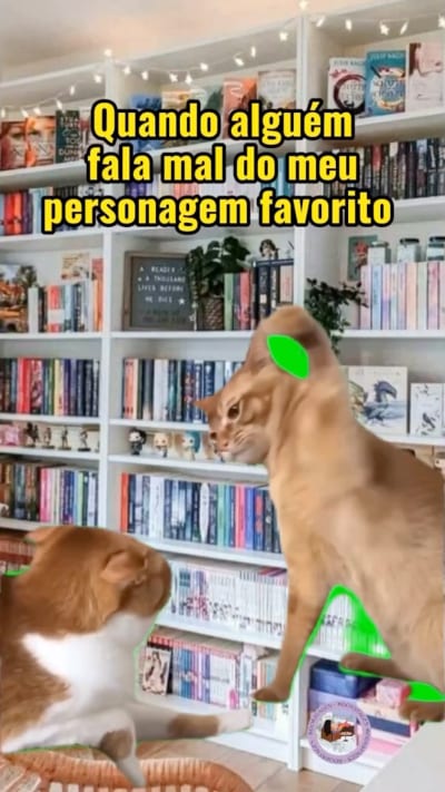 ✨ Qual é o personagem favorito que vocês defendem com unhas e dentes ?? ✨ me conta aqui nos comentários #book #booklover #bookstagram…