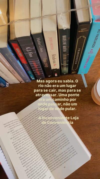 Um rio e uma ponte podem ser vistos de formas muito diferentes para cada um de nós. Para alguns, ambos são sinônimos de destruição…