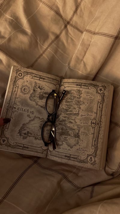 take me home… #booktokbrasil #tronodevidro #sarahjmaas #aelingalathynius