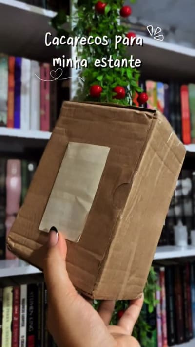 Se tem uma coisa que eu amo é comprar coisinhas bonitas para a minha estante! 🛍️ comprinhas feitas na @imalab3d Você também gosta de…