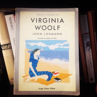 Um dos meus gênero literários preferidos é a biografia. Esta, da escritora Virginia Woolf, é excelente para introduzir o leitor na vida e…