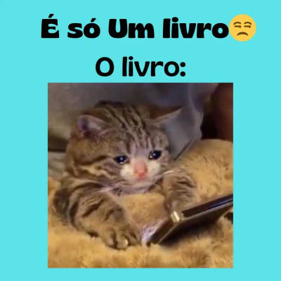 é apenas um livro. #booktok #book #livros #gatos