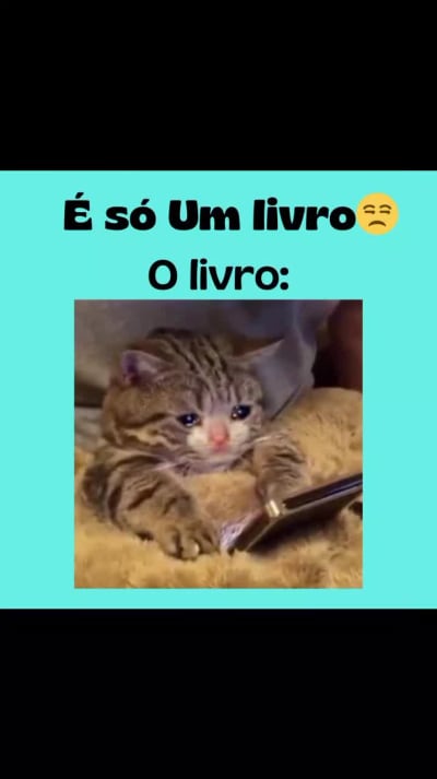 é apenas um livro.... #book #livros #booktok #gatos
