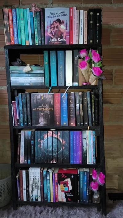 vem arrumar minha estante de livros #leitores #estantedelivros #livrostiktok #libros #leitores