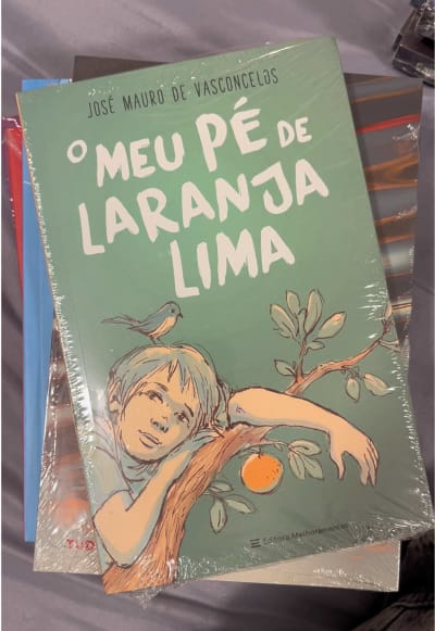 Bienal 2026 ✨♥️ #raphaelmontes #freidamcfadden #bienal #bienaldolivro #booktokbrasil
