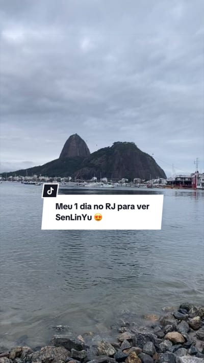 Vem que hoje tem um pouquinho da minha jornada quando fui ao RJ ver a SenLinYu 😍 o que foi definitivamente a realização de um sonho! Além…