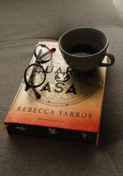 Vamos ler Quarta Asa Comigo? #quartaasa #booktok #livrosdefantasia #fy
