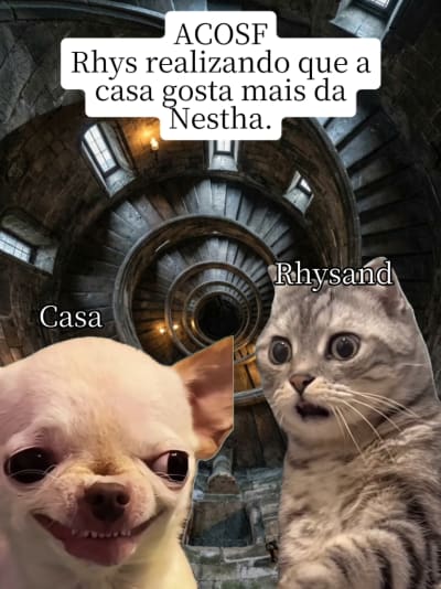 Temos um preferido 😄 Claramente a casa se sentiu acolhida quando viu que Nestha tinha o mesmo gosto literário que ela 😈💦🍆 #acotarmeme…