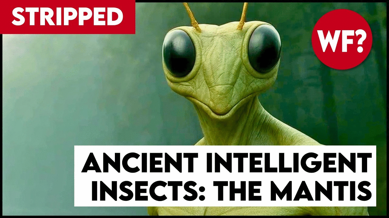 Earth's Mantis Overlords | They've Been Here all Along (STRIPPED)