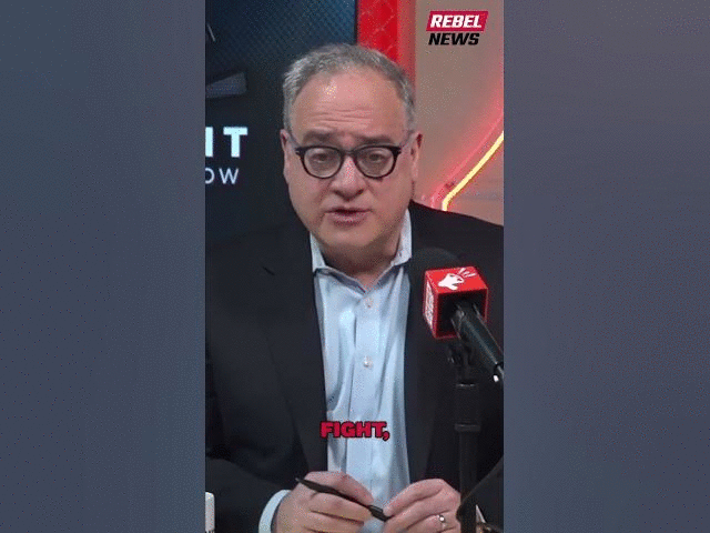 Gavin McInnes: Encouraging young men to get married 'more important than pretty much anything'