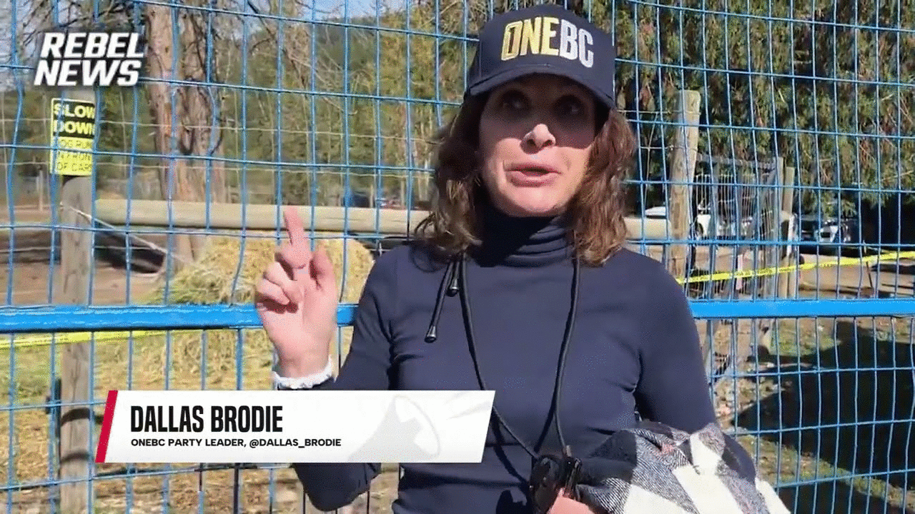 'Where are you?': OneBC leader Dallas Brodie calls out David Eby and John Rustad over ostrich cull