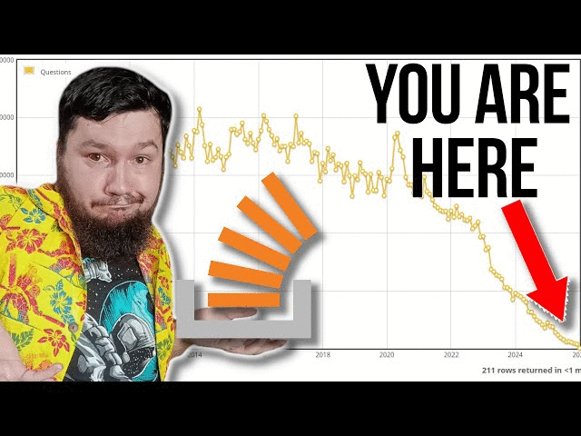 StackOverflow Is Absolutely Cooked