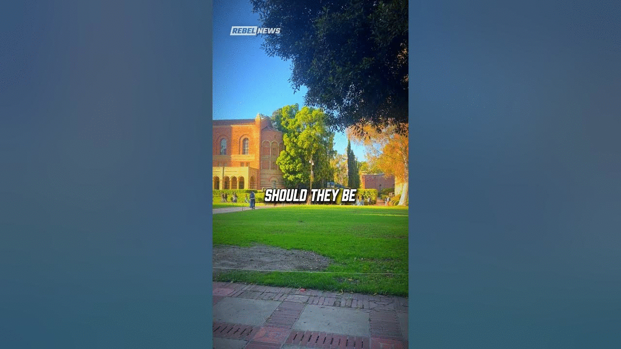 Brandon Gill OBLITERATED DEI Activist