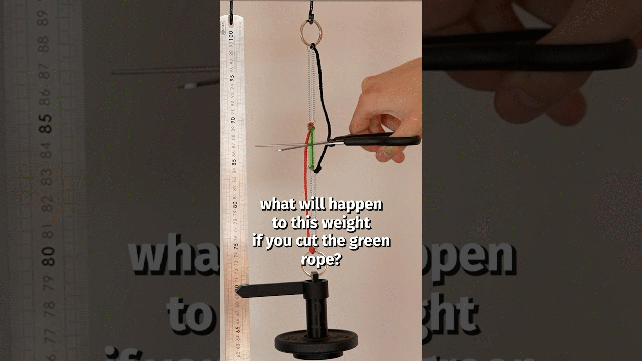 What will happen to the weight if you cut the green rope?