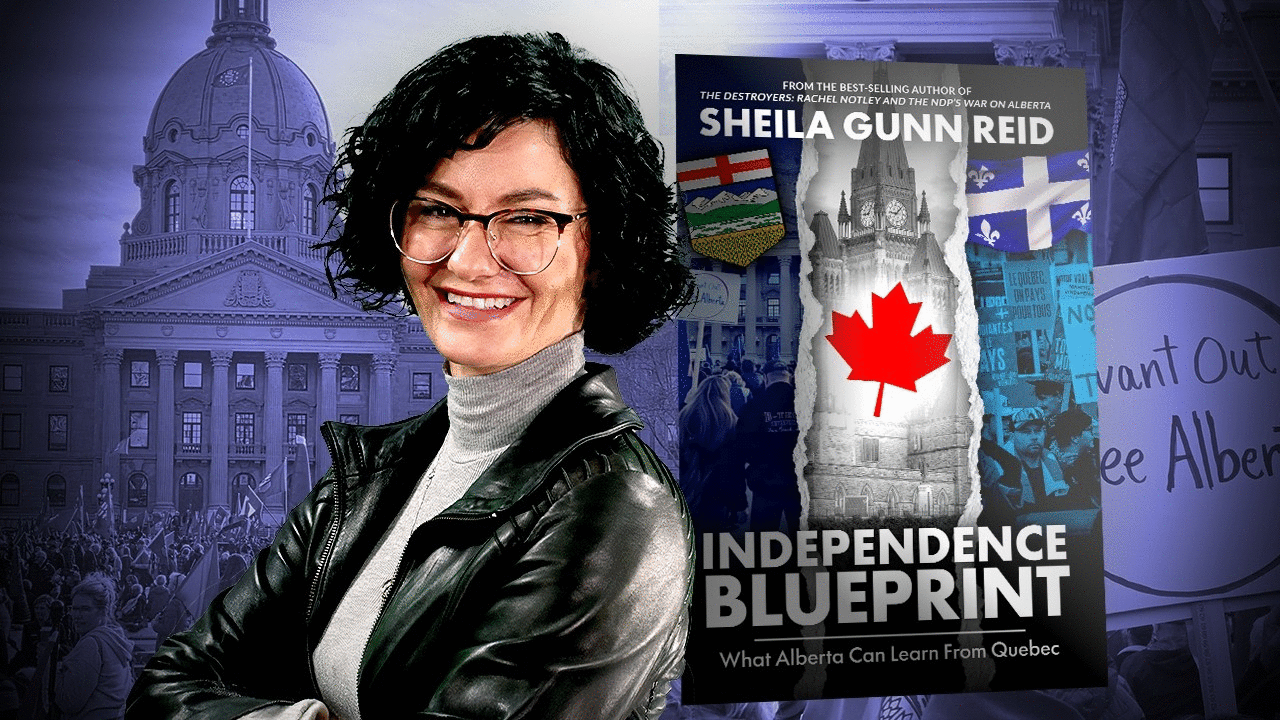 My new book 'Independence Blueprint' is ON SALE now!