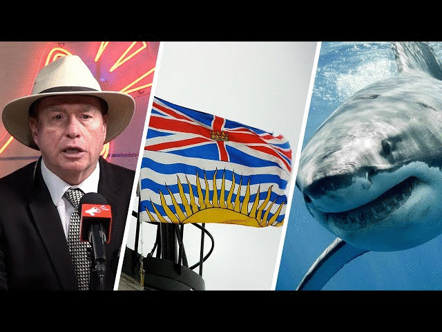 What parts of Canadian culture will be 'rebranded' in 2026? Here are our predictions