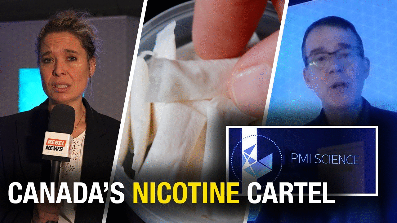 Expert says Canada is 'behind' on nicotine pouch access despite global shift to smoke-free products