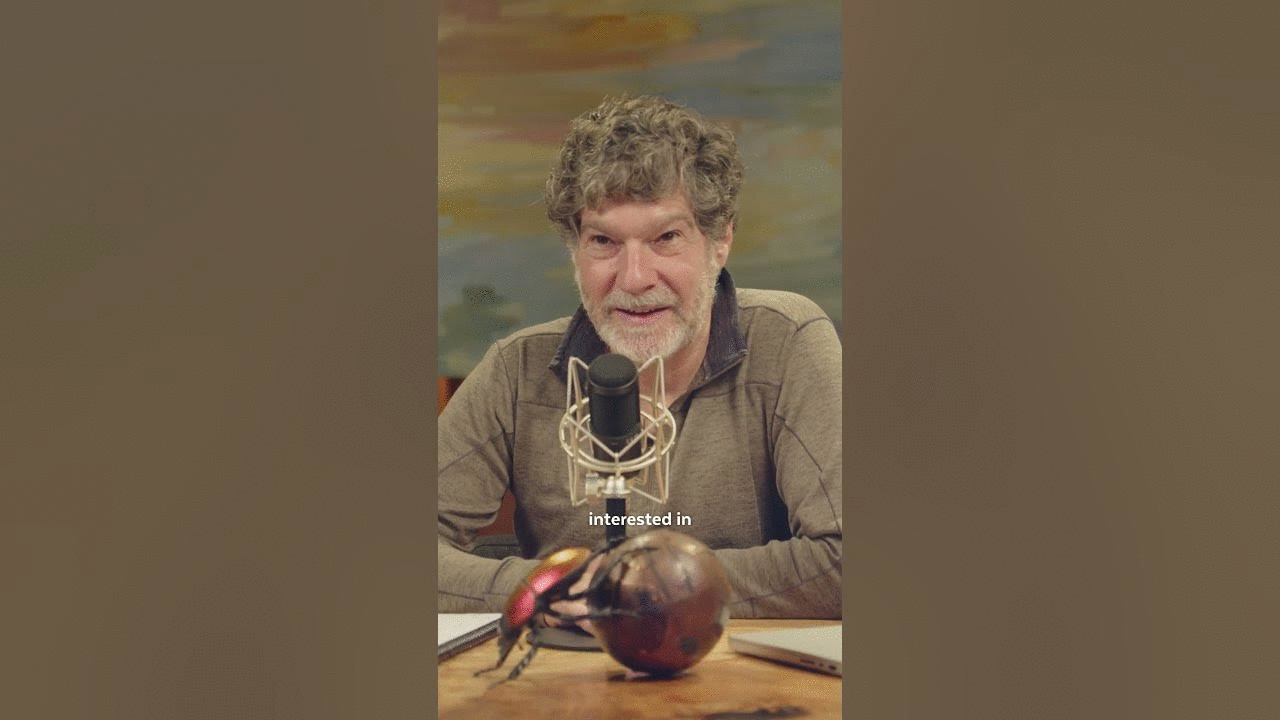 Q: Why do you think the FBI seems to not want to dig into the Trump assassination attempt?