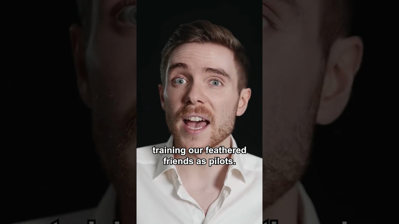 The Unusual Role of Pigeons in War