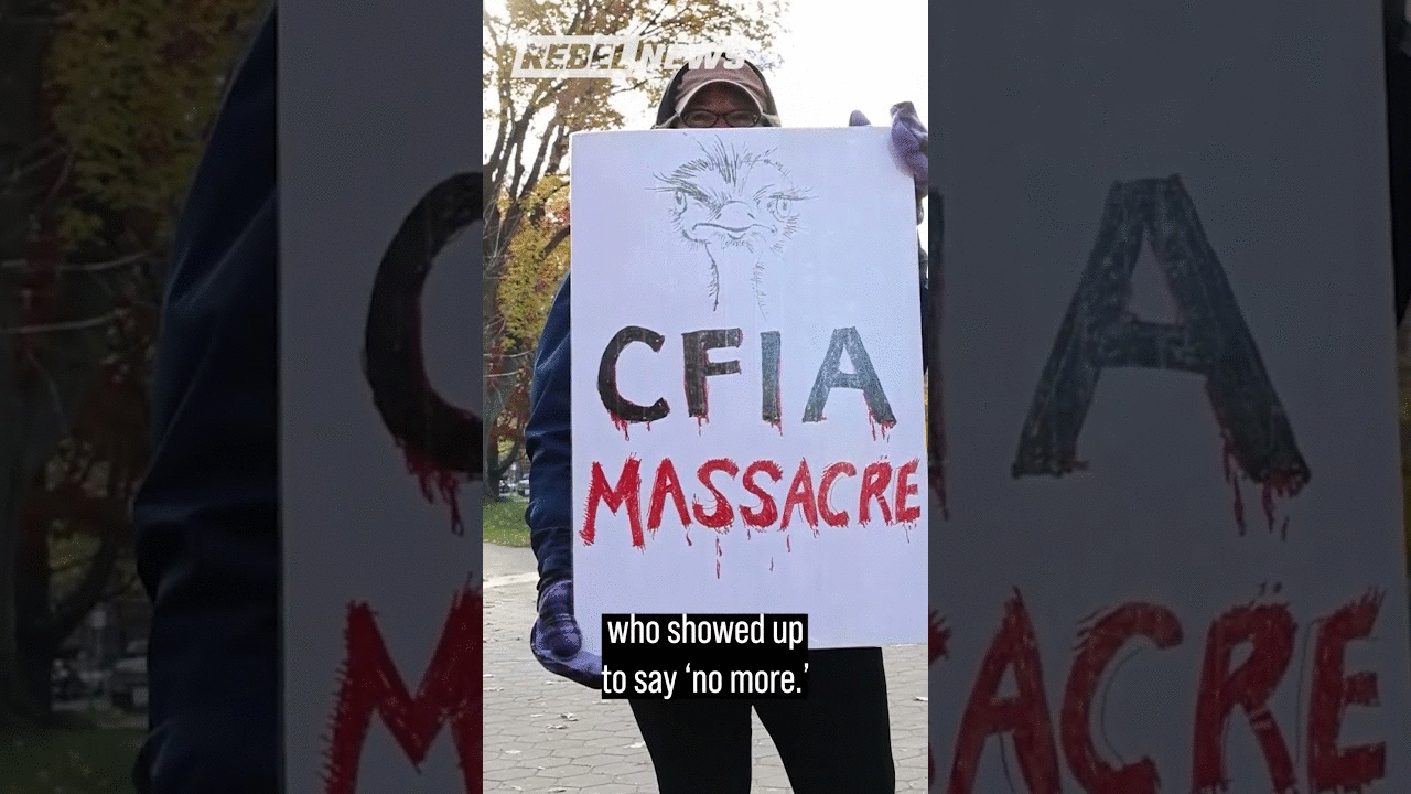 'Cull the CFIA': Patriots in Toronto organize farmers’ protest after ostrich massacre