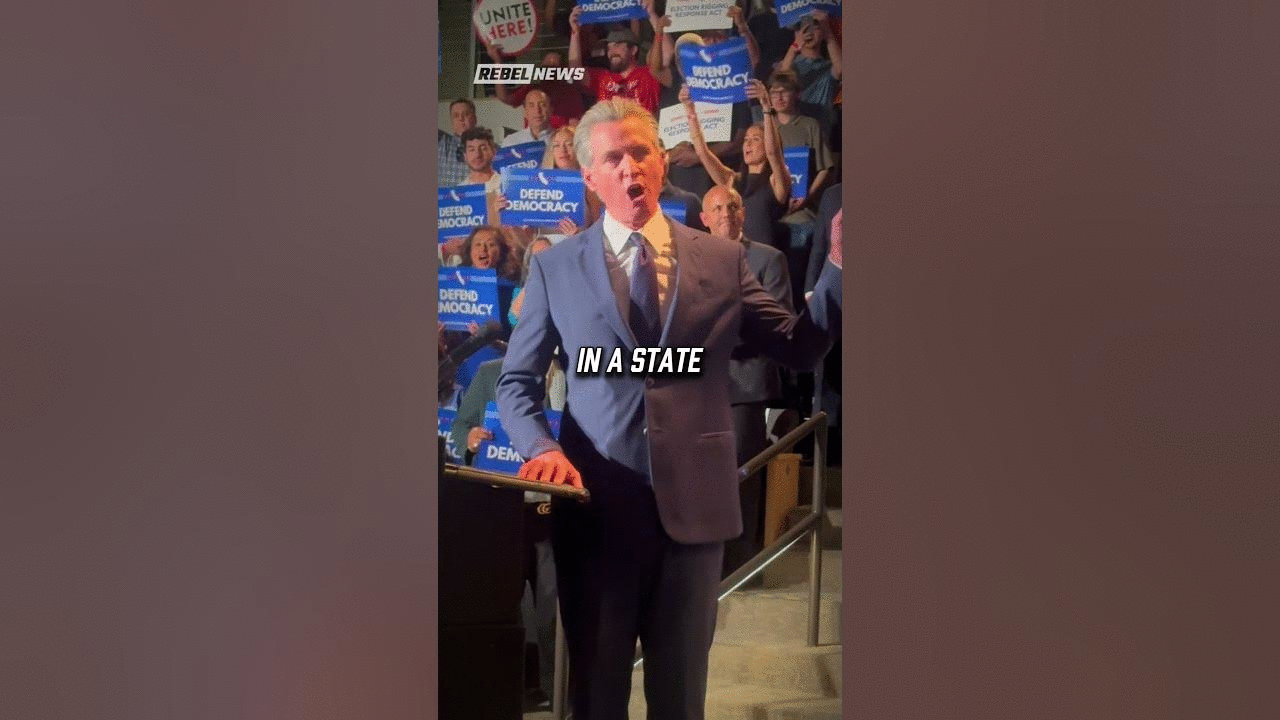 Rob Schneider EXPOSED Gavin Newscum