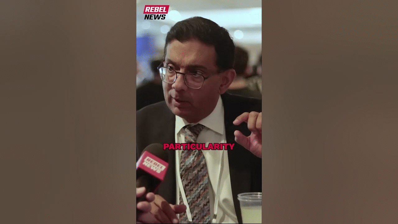 Tucker Carlson has 'gone off the reservation': Dinesh D'Souza