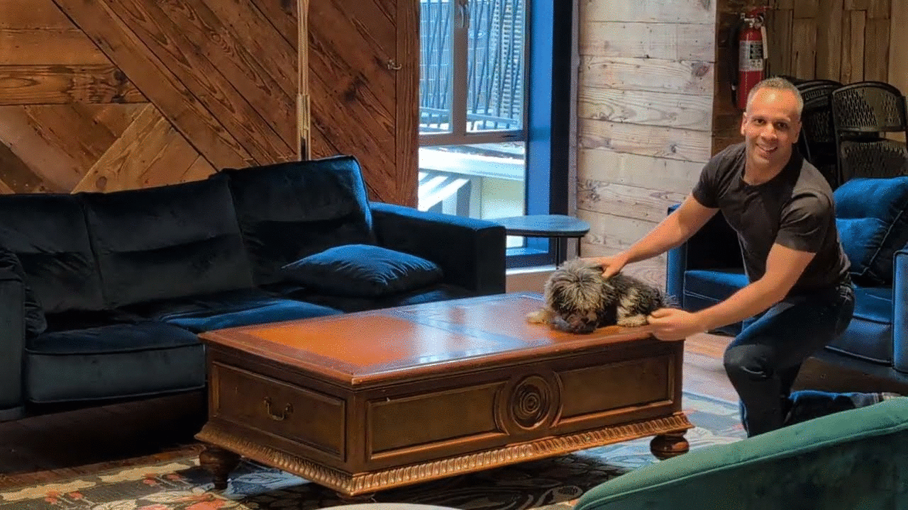 Louis vs clementine: man vs. puppy