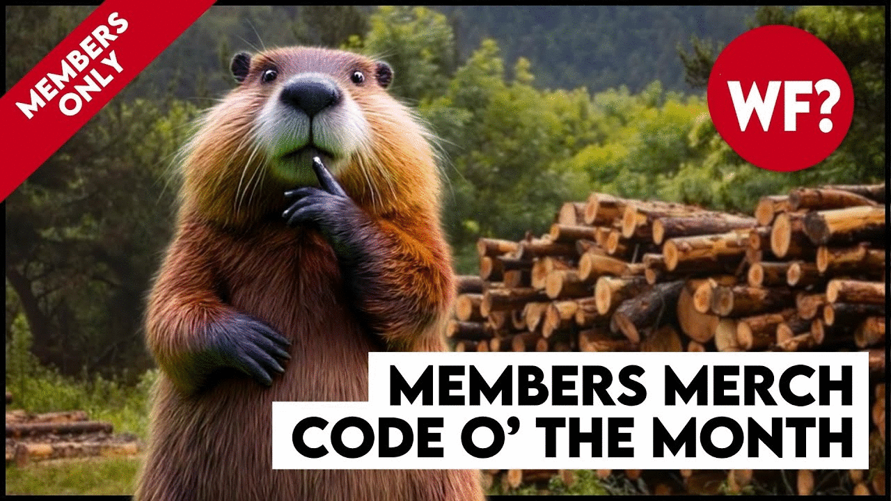 Super Secret Members Only Code o' The Month for September!