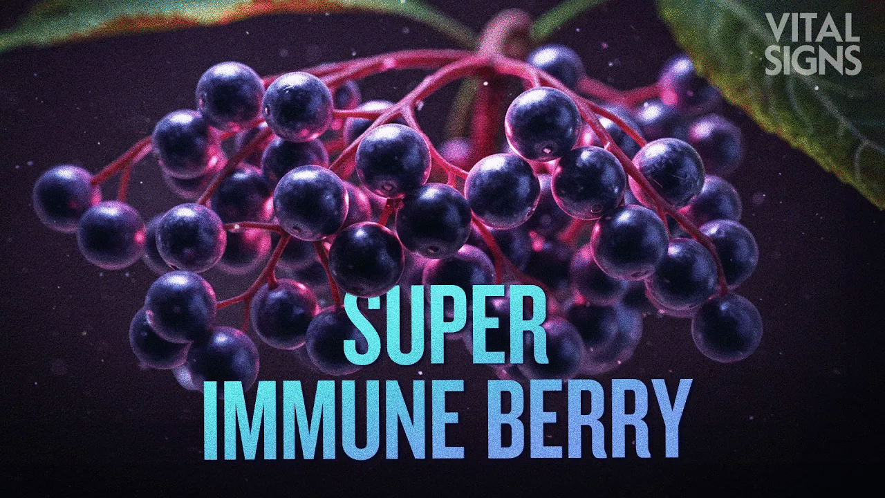How to Use Elderberry to Relieve Colds, Flu, and Pain | Trailer | Vital Signs