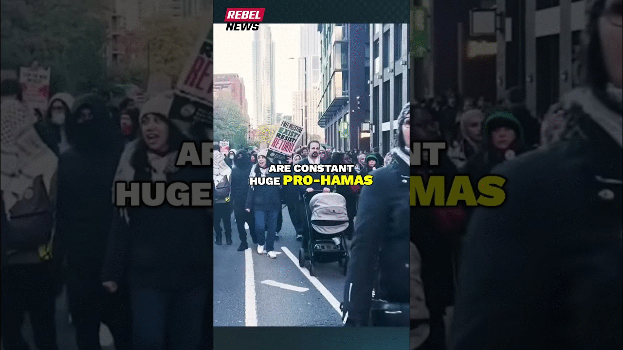 Governments across globe continue assault on farmers: Ezra Levant