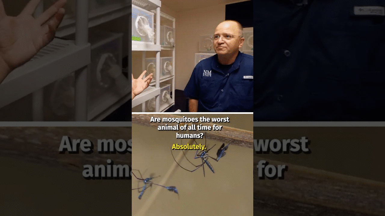 Are mosquitoes the most dangerous animal in history?