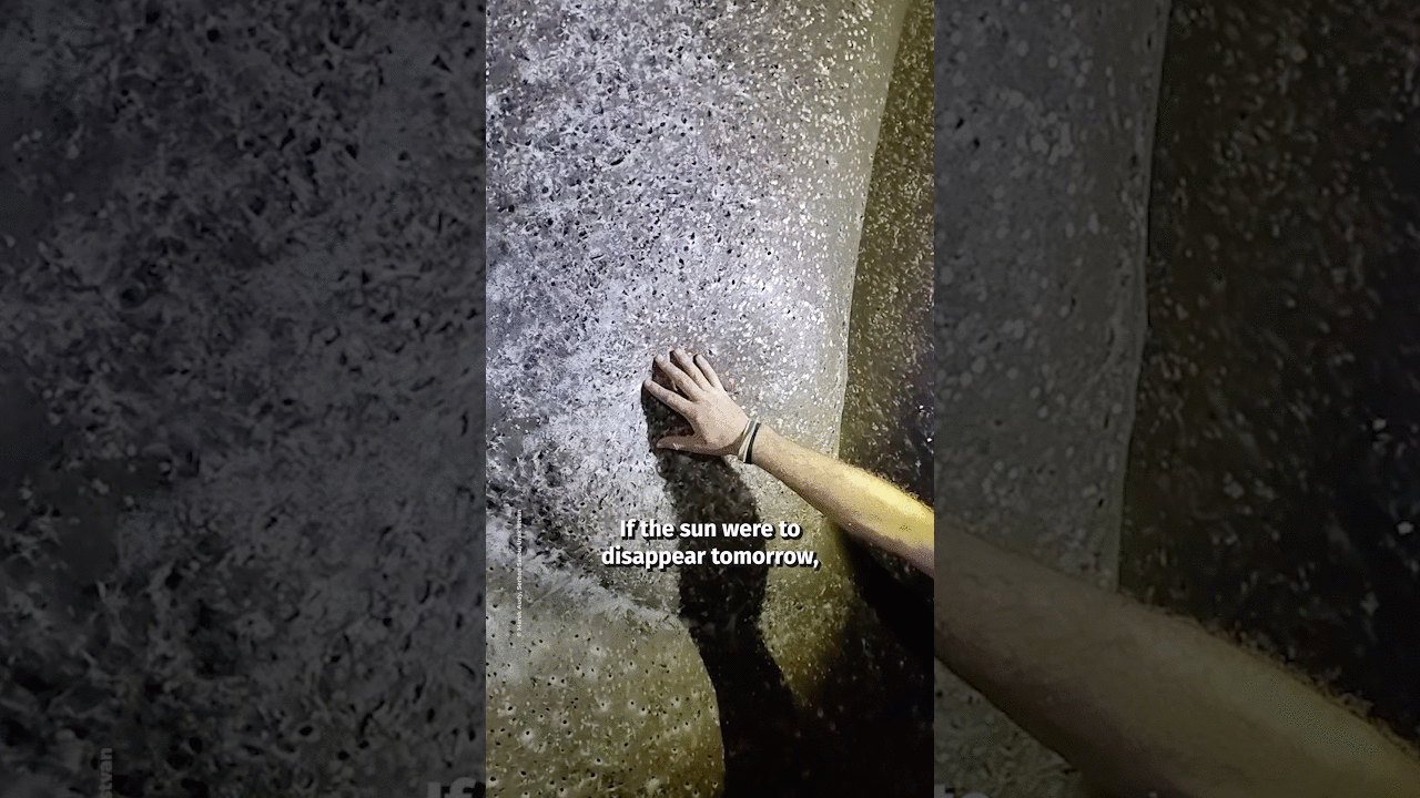 World’s Largest Spiderweb