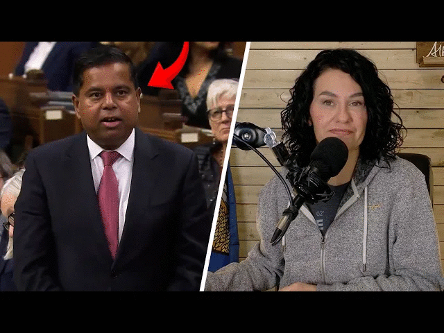 Liberals weaken foreign influence registry, citing risk of offending foreign agents