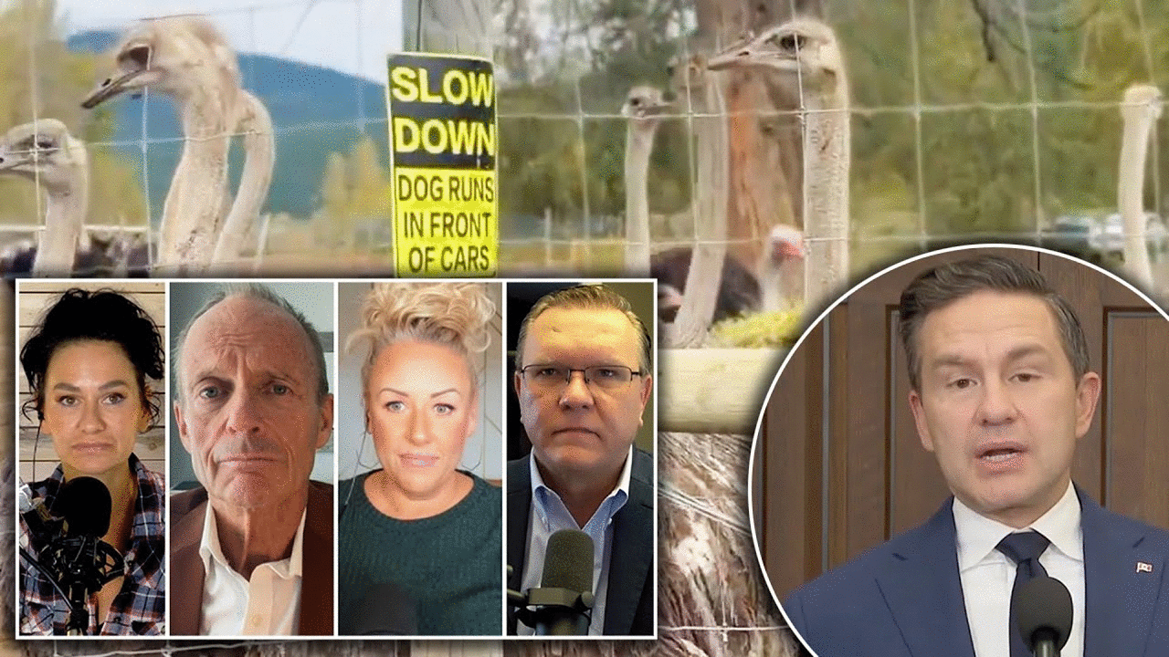 Some conservatives say Poilievre should show more support for embattled B.C. ostrich farm