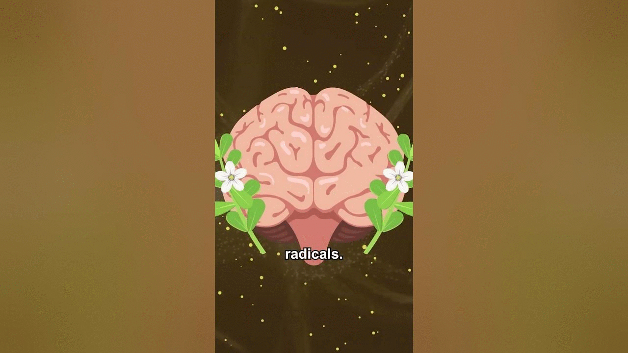 Should We Sit Up and Pay Attention to This Cognitive Enhancer?