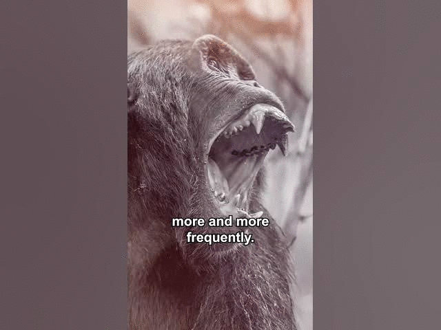 Same DNA. Same Darkness.