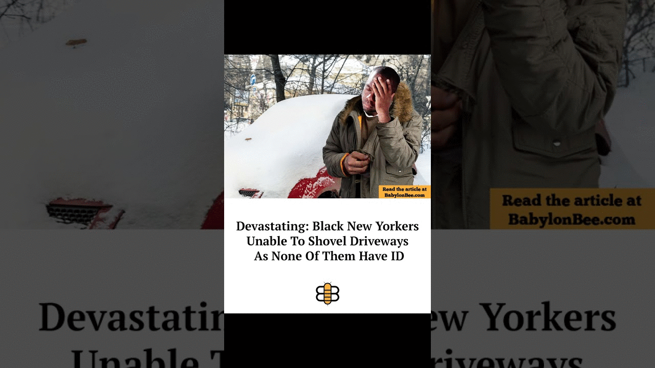 Read the article: https://babylonbee.com/news/devastating-black-new-yorkers-unable-to-shovel-drivewa