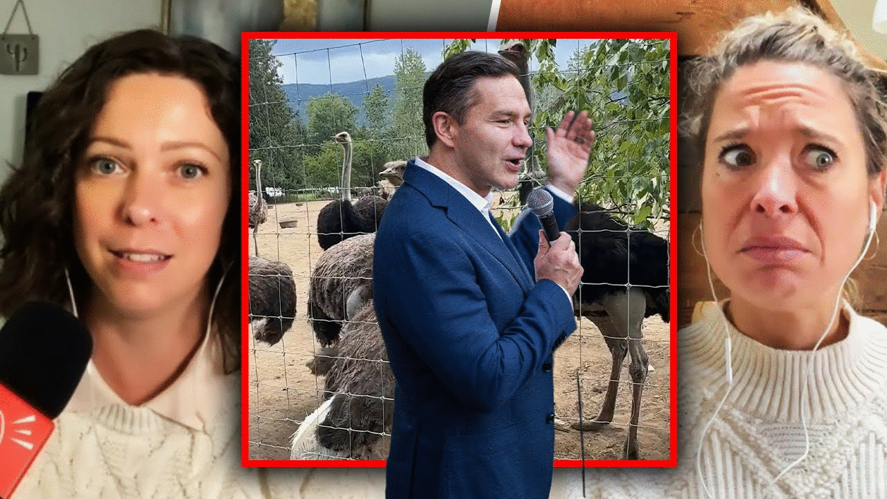 Poilievre blames Liberal incompetence for controversial ostrich cull order