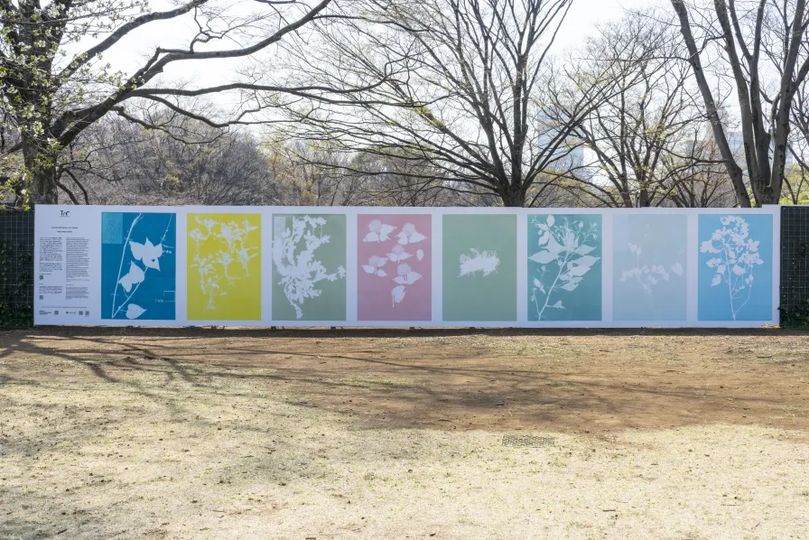 TOKYO CITY CANVAS ｜ TOKYO PHOTOGRAPHIC RESEARCH