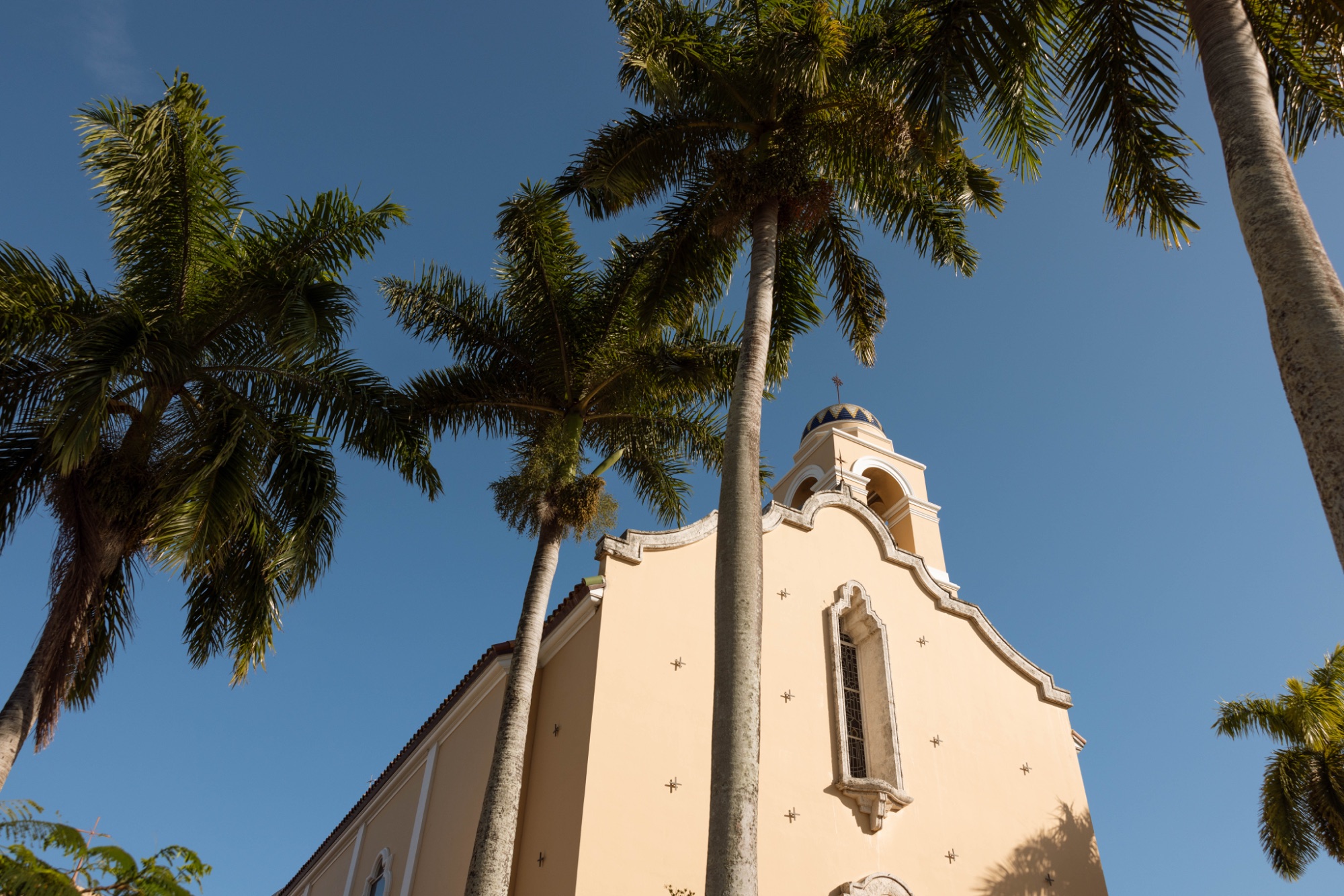 The church facade framed by royal palms