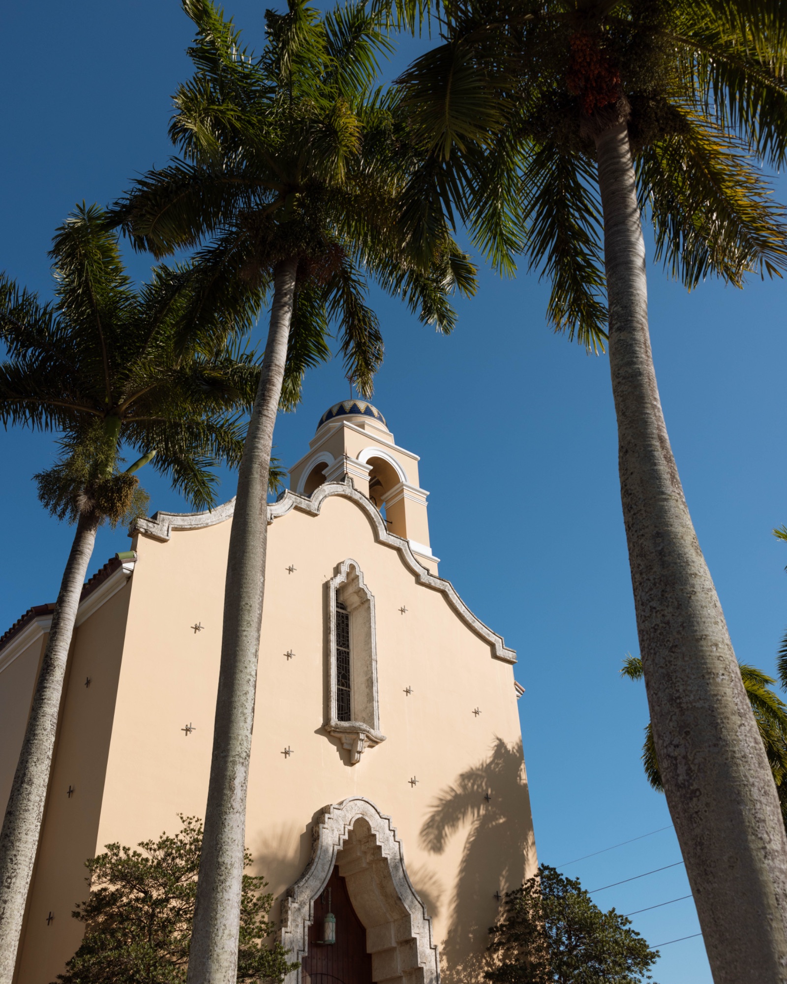 Palms leaning over the church entrance before the ceremony