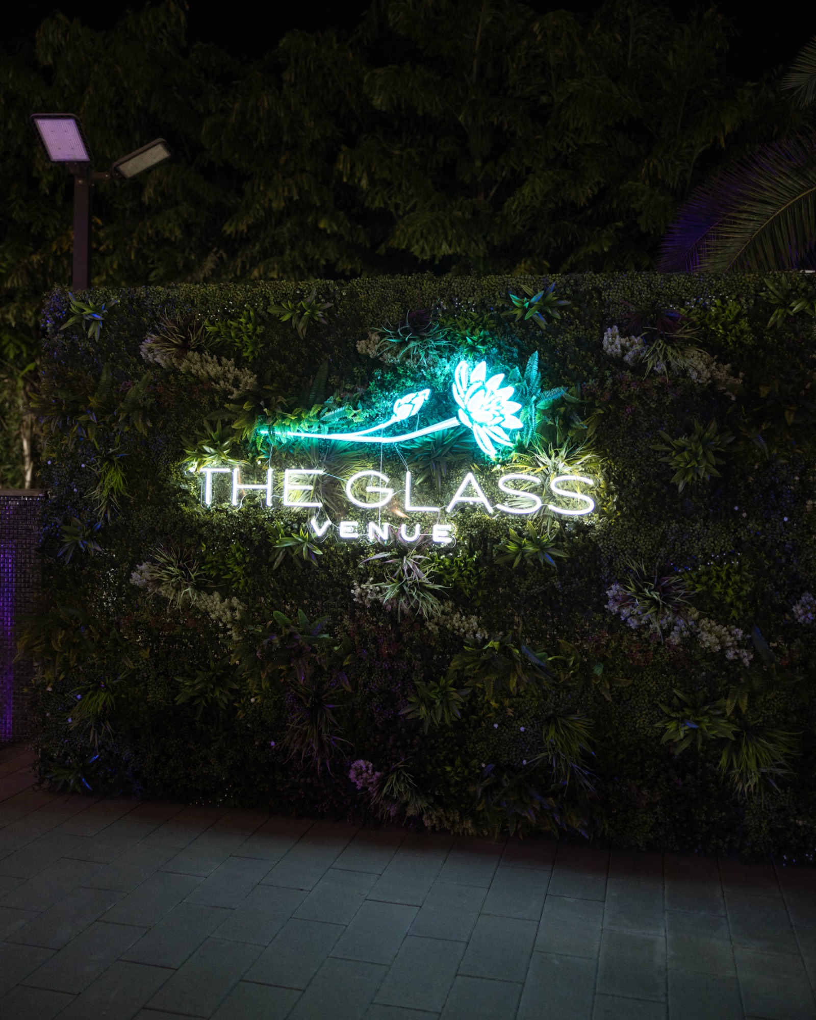 The Glass Venue's sign lit against the hedge wall at night