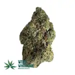 Lava Cake (AAAA)