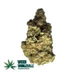 King Kong (AA)